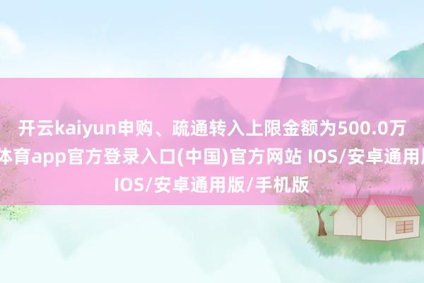 开云kaiyun申购、疏通转入上限金额为500.0万元-kai云体育app官方登录入口(中国)官方网站 IOS/安卓通用版/手机版