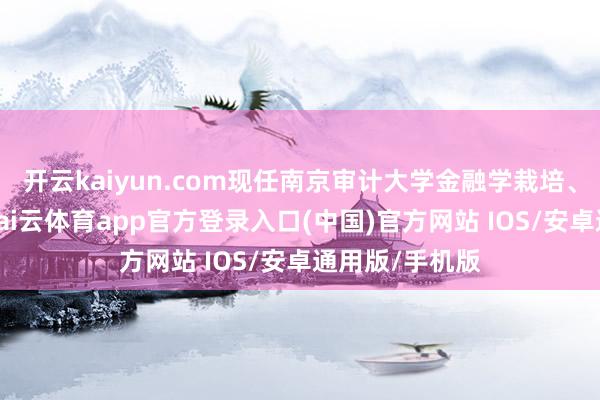 开云kaiyun.com现任南京审计大学金融学栽培、硕士生导师-kai云体育app官方登录入口(中国)官方网站 IOS/安卓通用版/手机版