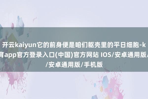 开云kaiyun它的前身便是咱们躯壳里的平日细胞-kai云体育app官方登录入口(中国)官方网站 IOS/安卓通用版/手机版