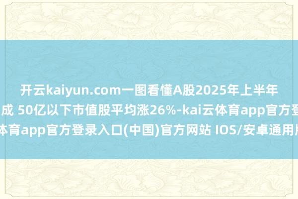 开云kaiyun.com一图看懂A股2025年上半年：日均成交额较客岁增3成 50亿以下市值股平均涨26%-kai云体育app官方登录入口(中国)官方网站 IOS/安卓通用版/手机版
