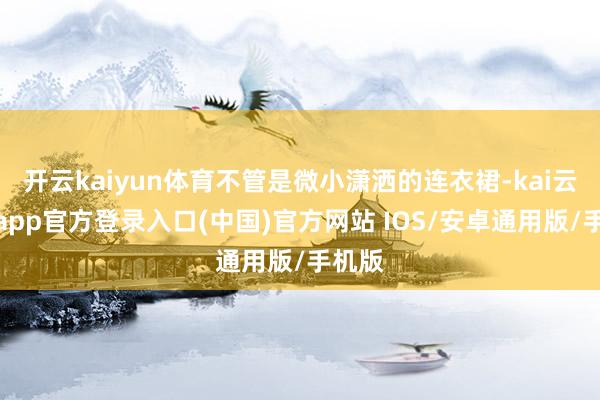 开云kaiyun体育不管是微小潇洒的连衣裙-kai云体育app官方登录入口(中国)官方网站 IOS/安卓通用版/手机版