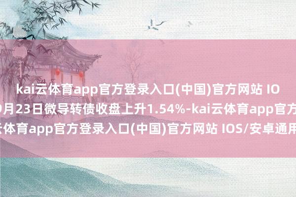 kai云体育app官方登录入口(中国)官方网站 IOS/安卓通用版/手机版9月23日微导转债收盘上升1.54%-kai云体育app官方登录入口(中国)官方网站 IOS/安卓通用版/手机版